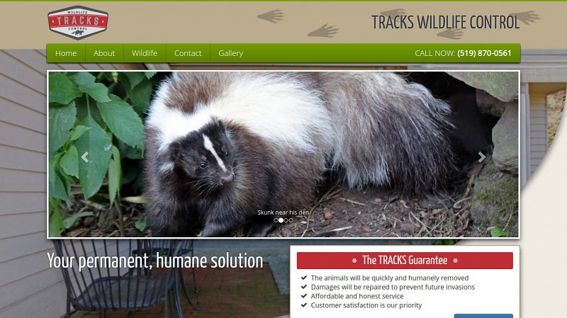 Tracks Wildlife Control